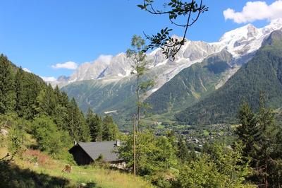 Terrain constructible - 1 174 m²