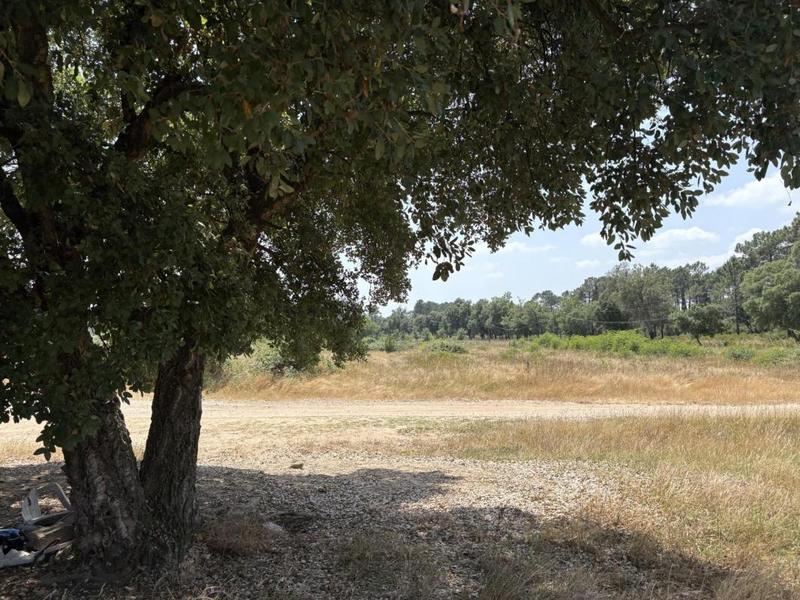 Terrain agricole - 80 000 m²