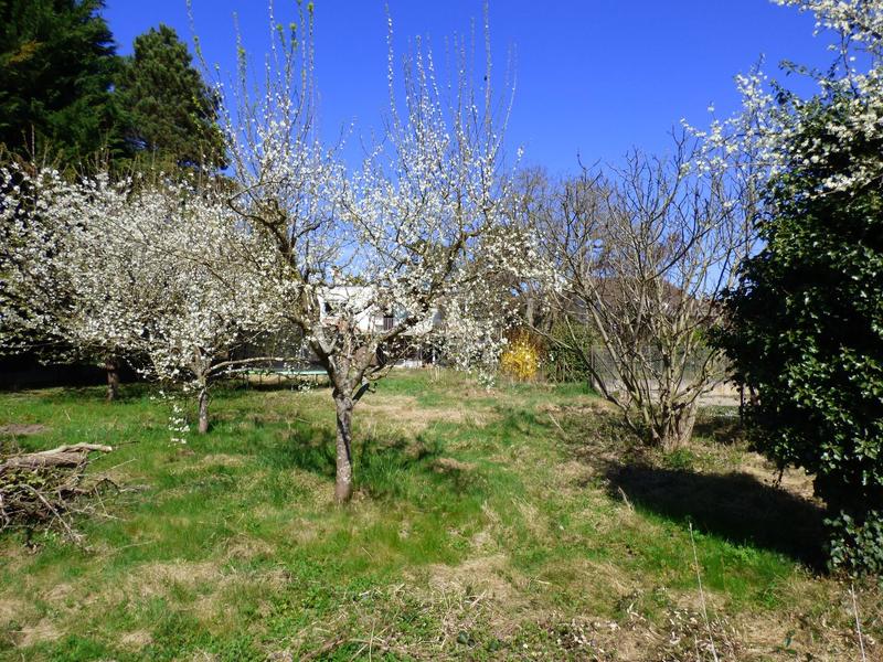 Maison ancienne - 160 m² - 4 pièces