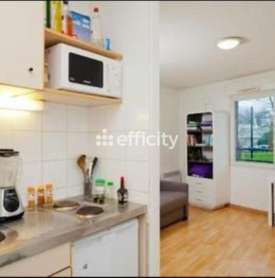 Studio - 19 m² - 1 pièce