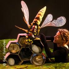 Nuisibles - Cie Alula