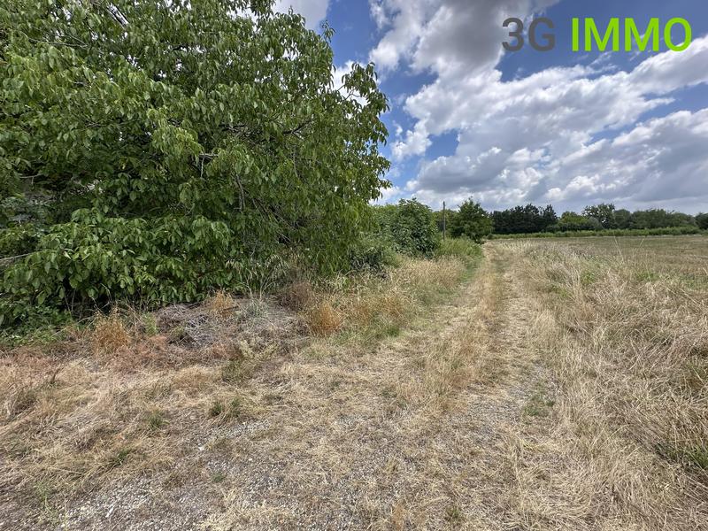 Corps de ferme - 280 m²