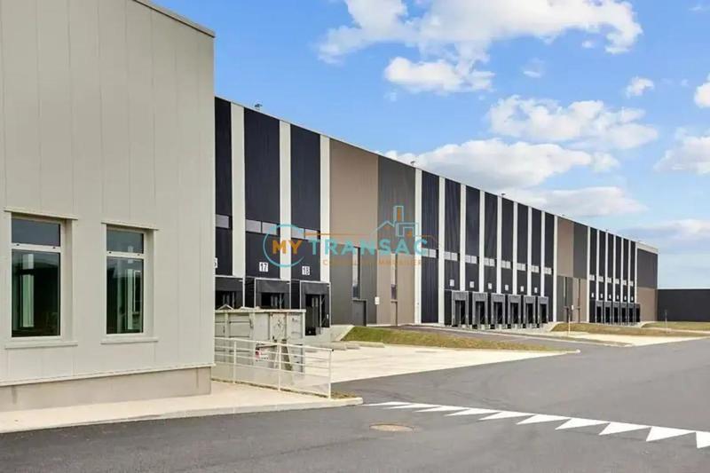 Local d'activité / Entrepôt - 6 280 m²