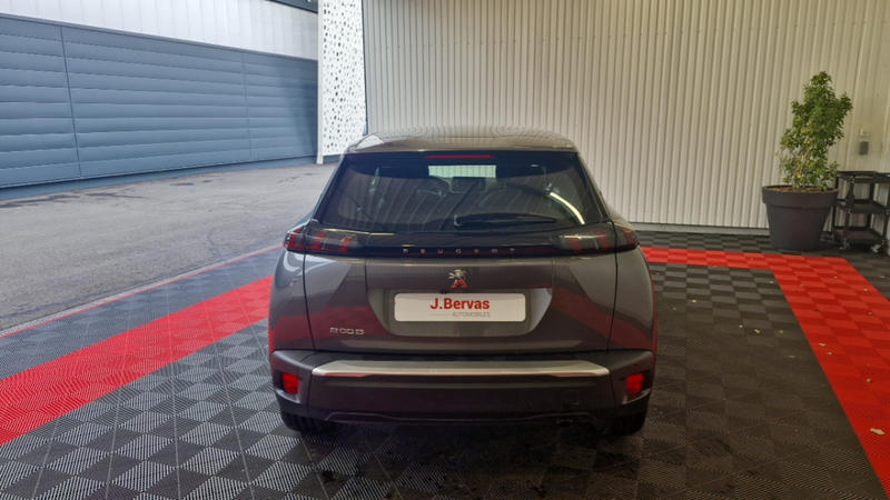 Peugeot 2008 bluehdi 100 ss active business