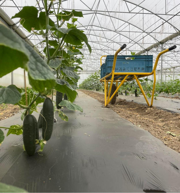 Ferme du Loup Ravissant