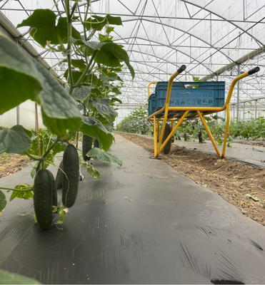 Ferme du Loup Ravissant