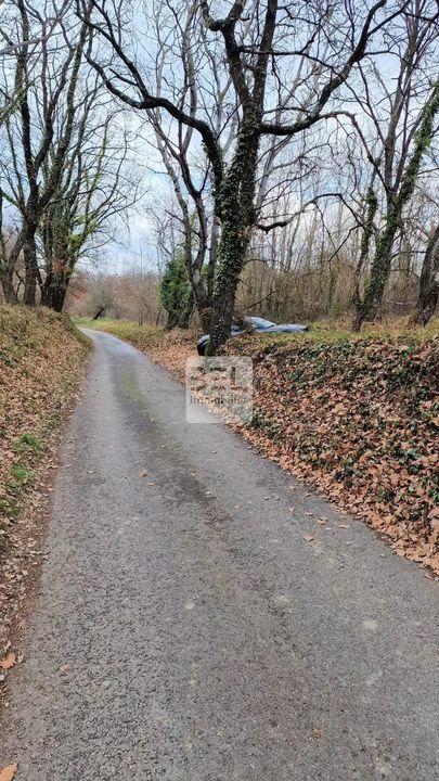 Terrain agricole - 4 625 m²