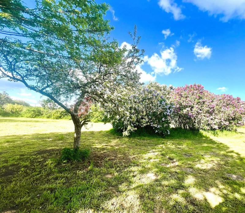 Corps de ferme - 400 m² - 15 pièces