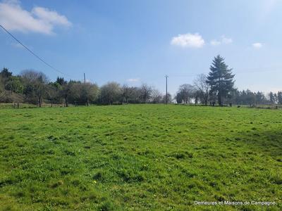 Maison ancienne - 90 m² - 4 pièces