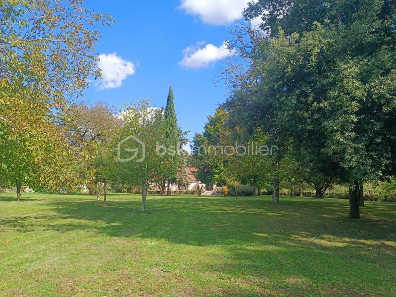 Maison en pierre - 160 m² - 5 pièces