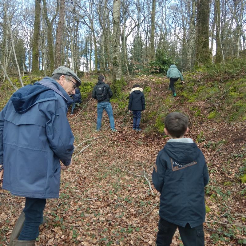Balade : jeux d'hiver en forêt