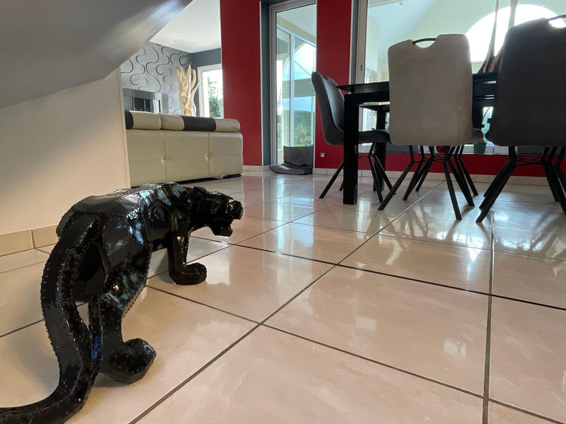 Maison - 343 m² - 7 pièces