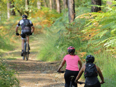 Trans'Andaine Vtt