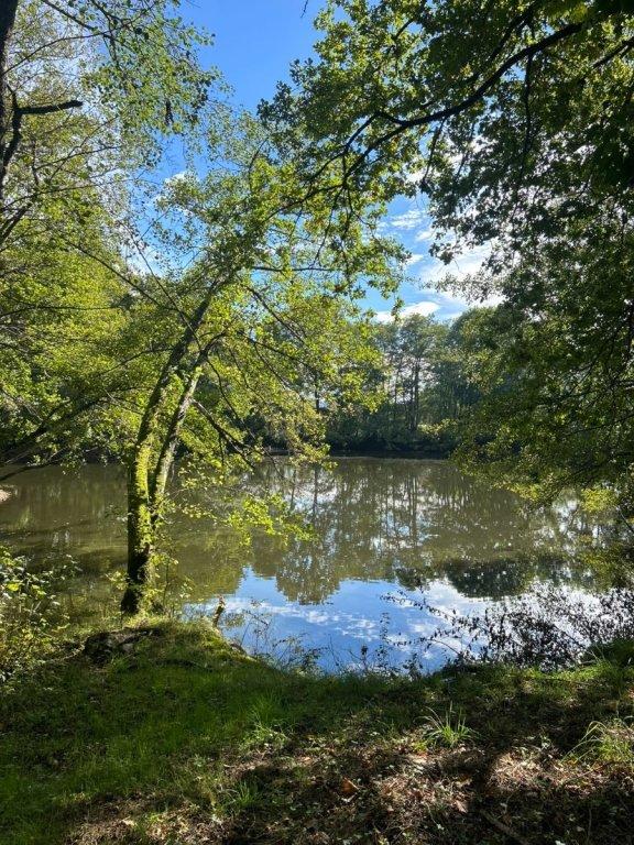 Propriété - 8 200 m² - 1 pièce