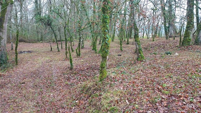 Terrain constructible - 1 255 m²