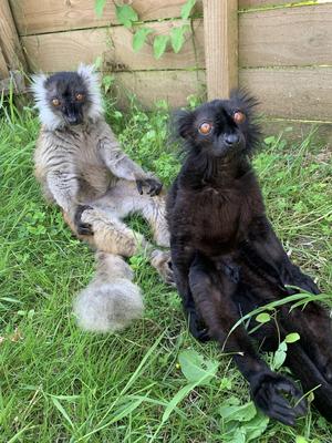 La Réserve Exotique