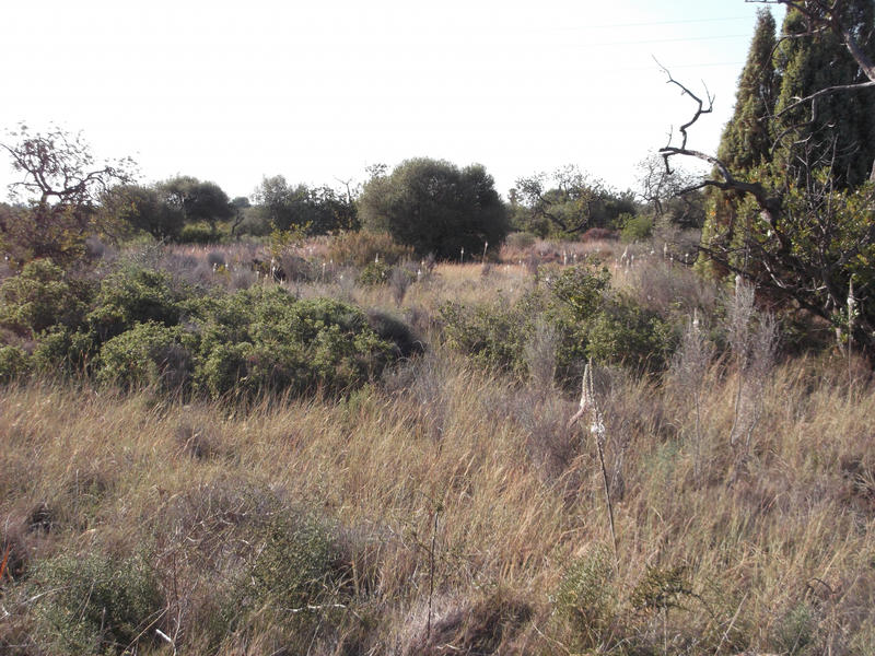 Terrain - 16 000 m²