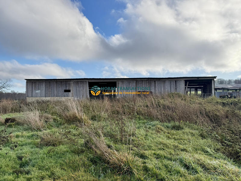 Ferme - 600 m² - 1 pièce