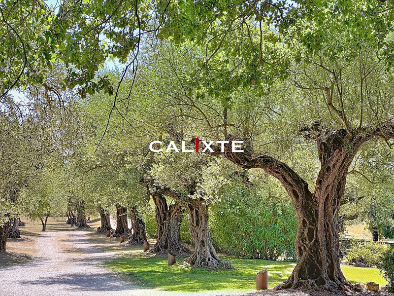 Mas - 180 m² - 6 pièces