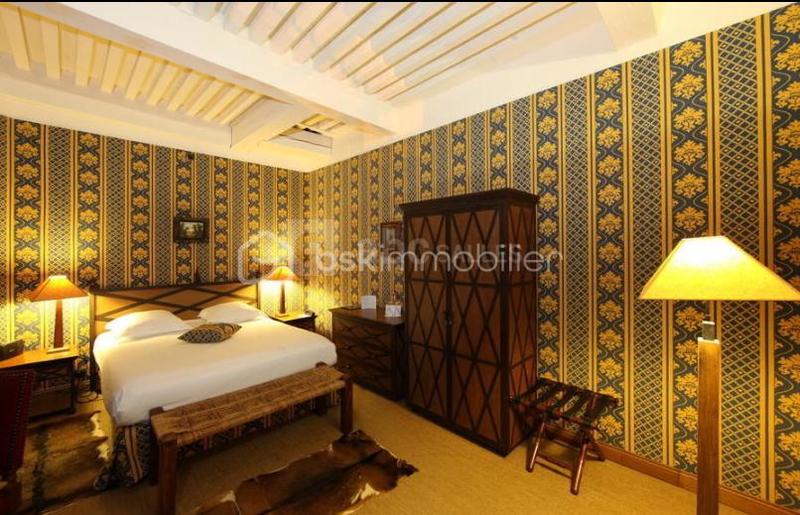 Château - 700 m² - 21 pièces