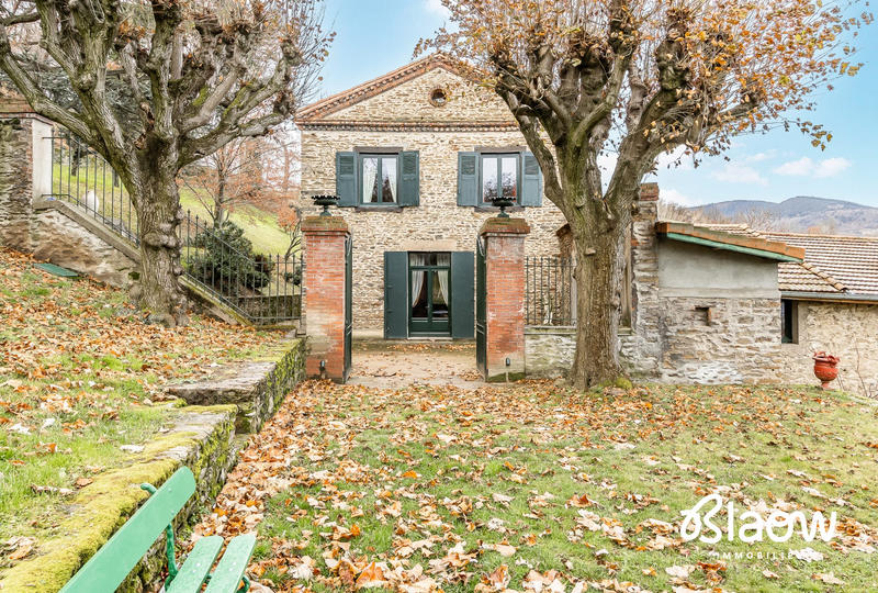 Viager - Maison - 306 m² - 9 pièces