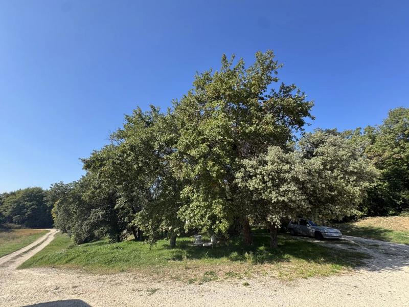 Propriété - 158 m² - 6 pièces