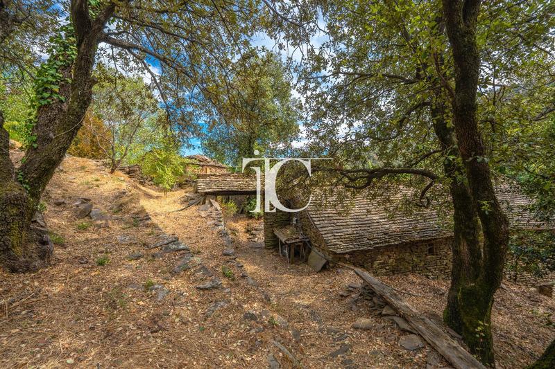 Maison en pierre - 82 m² - 7 pièces