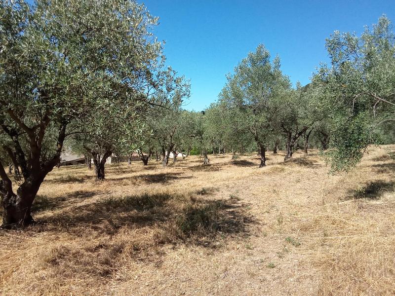 Bastide - 149 m² - 5 pièces