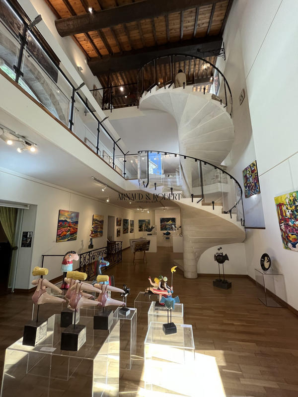 Maison - 450 m² - 10 pièces