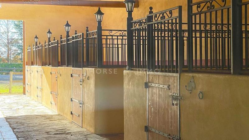 Mas - 300 m² - 9 pièces