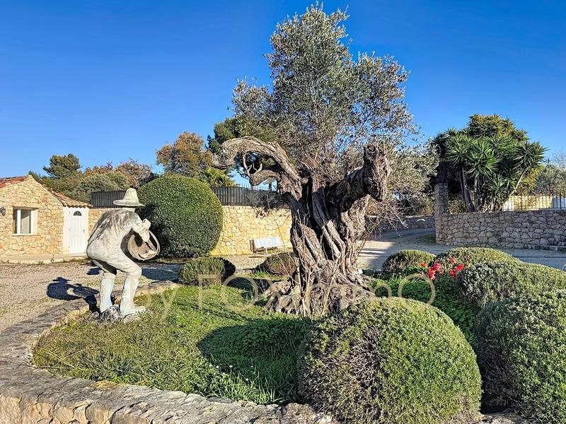 Propriété - 344 m² - 7 pièces