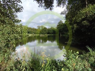 Terrain - 24 375 m²