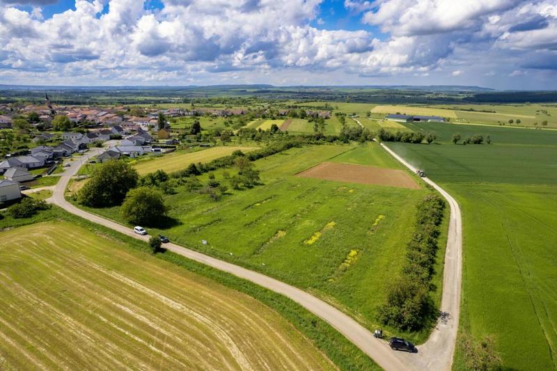 Terrain constructible - 746 m²