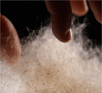 Visites-ateliers &quot;A la découverte des matériaux&quot;