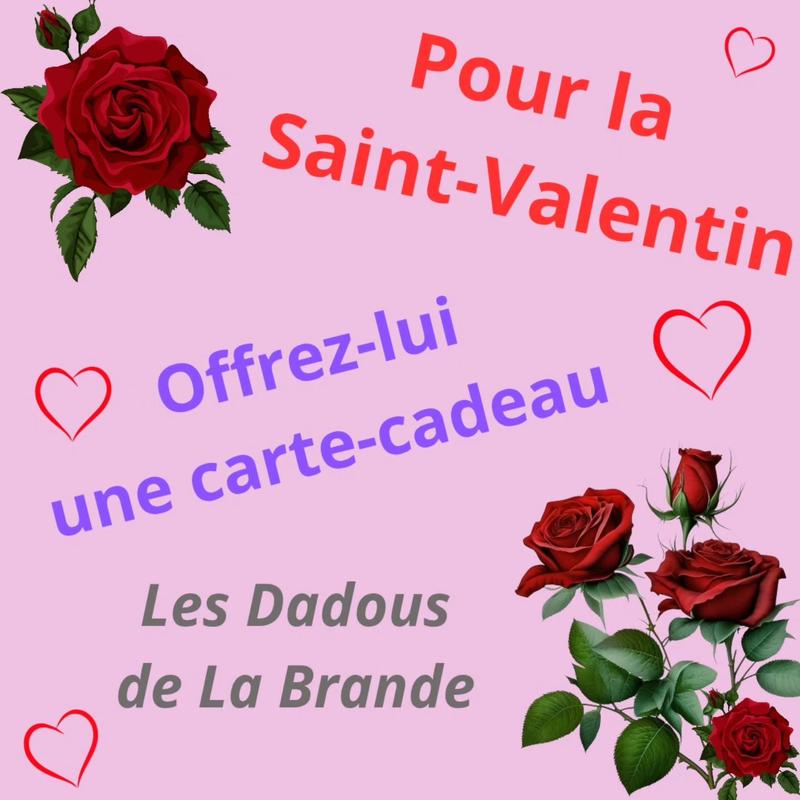 Vacances à poney / à cheval