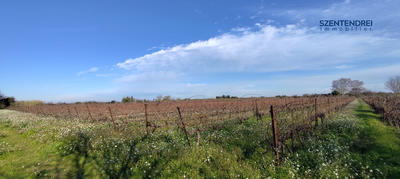 Terrain agricole - 22 595 m²