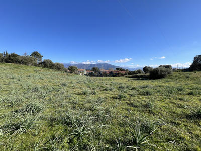 Terrain - 1 270 m²