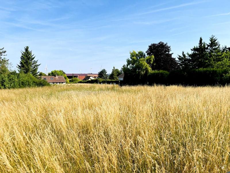 Terrain constructible - 1 420 m²