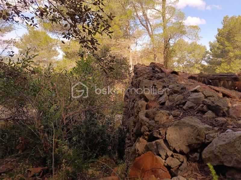 Terrain agricole - 525 m²