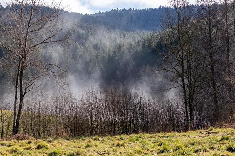 Terrain constructible - 1 030 m²