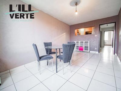 Appartement - 50 m² - 2 pièces