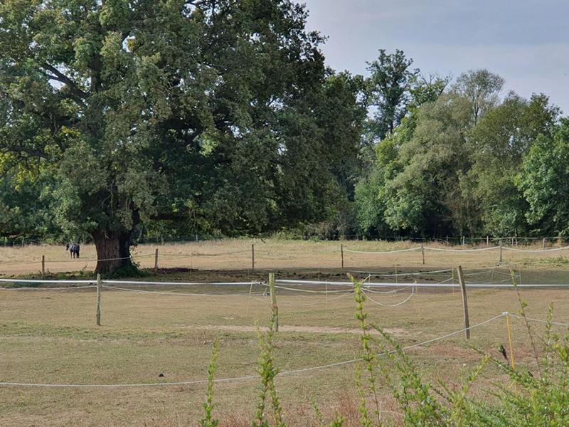 Corps de ferme - 240 m² - 11 pièces