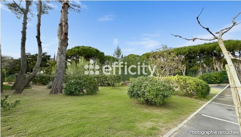 Studio - 26 m² - 1 pièce