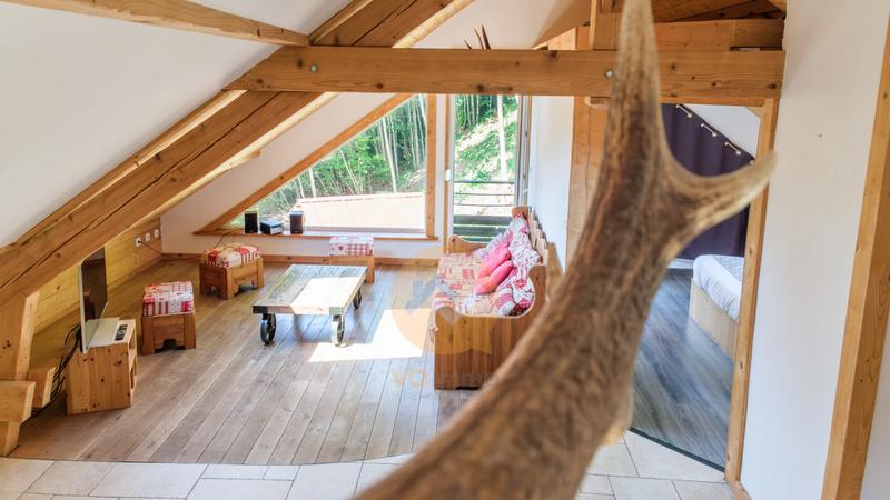 Châlet - 360 m² - 10 pièces