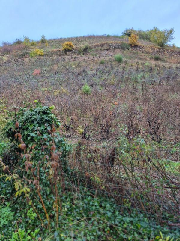 Maison - 240 m² - 5 pièces