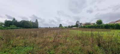 Terrain - 4 100 m²