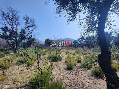 Terrain agricole - 8 000 m²