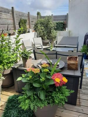 Maison de ville - 98 m² - 4 pièces