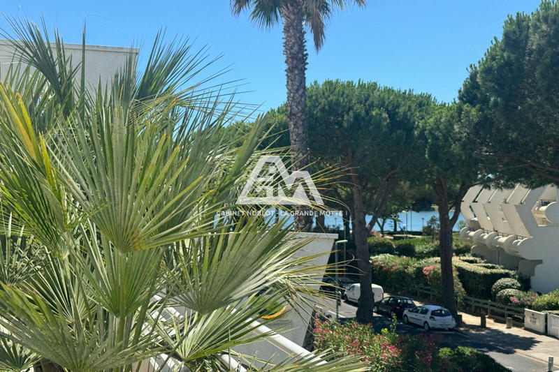 Viager - Appartement - 86 m² - 3 pièces