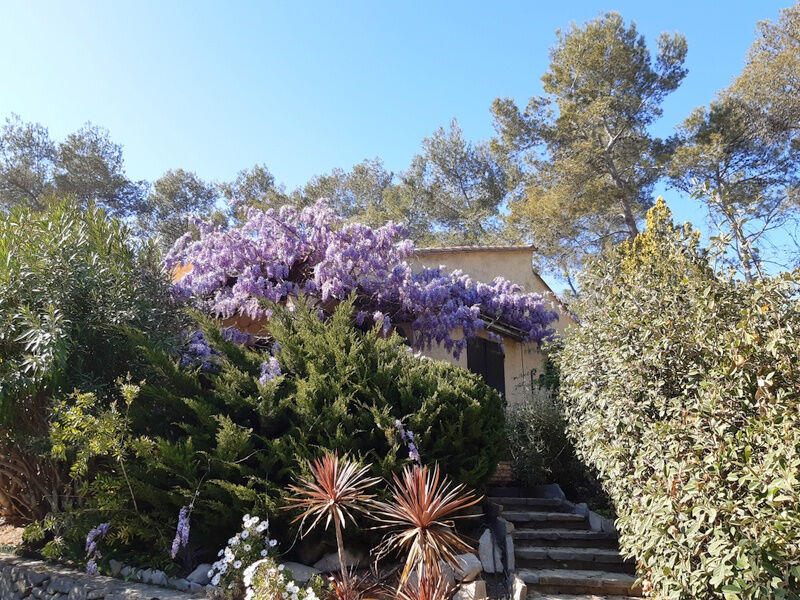 Maison - 234 m² - 8 pièces